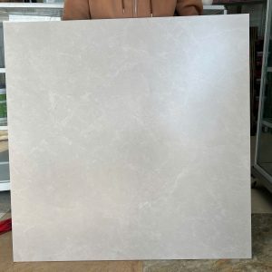 Gạch lát 100×100 Trung Quốc MSP: H1001